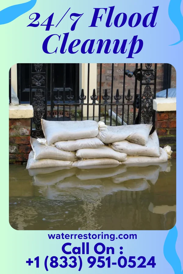 24/7 Flood Cleanup in Lake City, IA