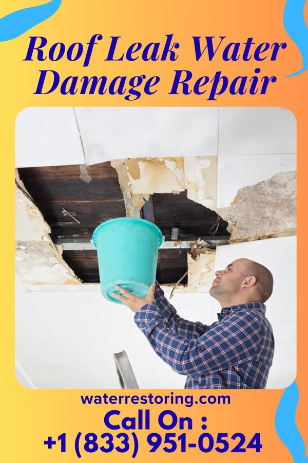 Roof Leak Water Damage Repair in Lake City, IA